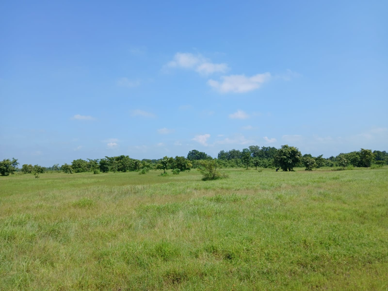  Agricultural Land 6 Acre for Sale in Murbad, Thane