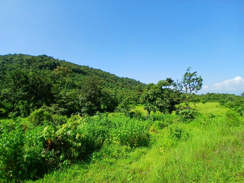  Agricultural Land 22 Acre for Sale in Murbad, Thane