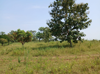  Agricultural Land for Sale in Khardi, Thane