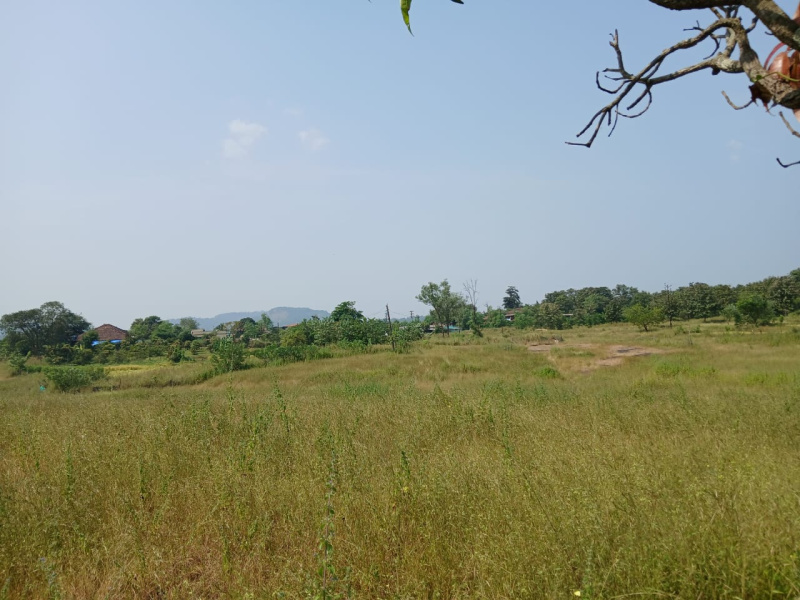  Agricultural Land 70 Acre for Sale in Khardi, Thane