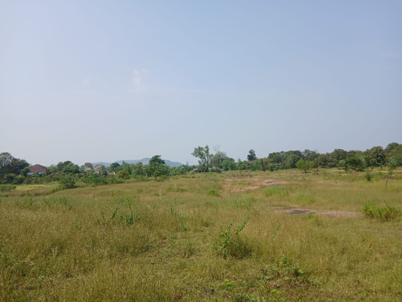  Agricultural Land 70 Acre for Sale in Khardi, Thane