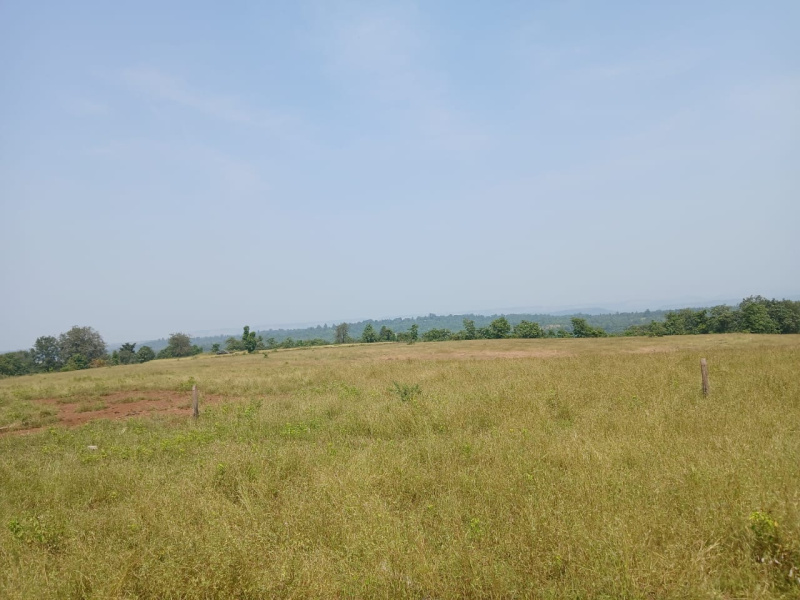  Agricultural Land 22 Acre for Sale in Khardi, Thane