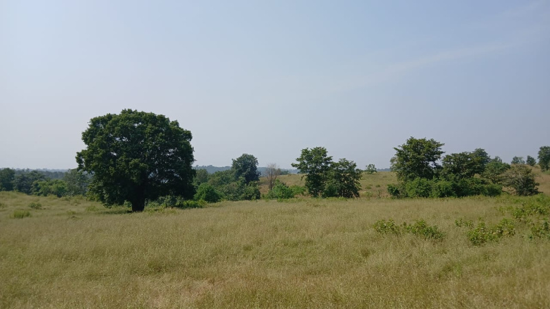  Agricultural Land 25 Acre for Sale in Khardi, Thane