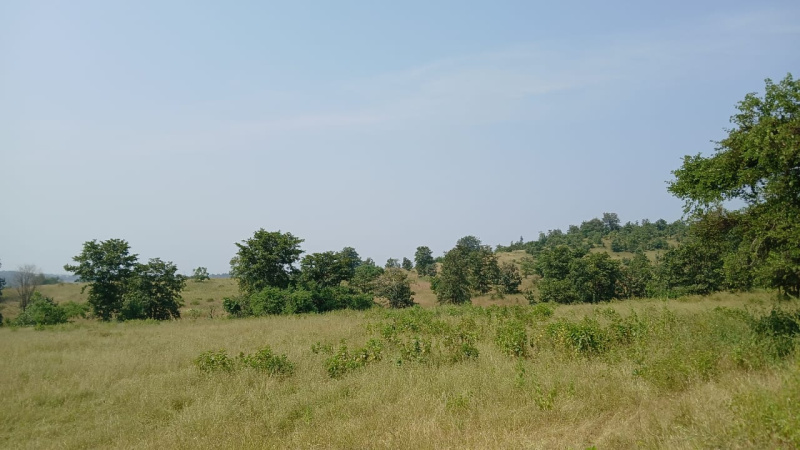  Agricultural Land 25 Acre for Sale in Khardi, Thane