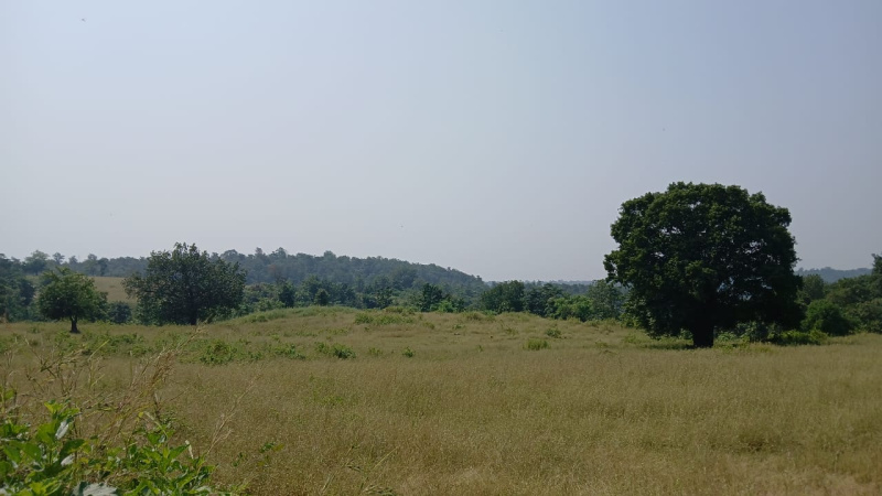  Agricultural Land 25 Acre for Sale in Khardi, Thane