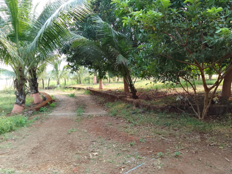  Agricultural Land 13 Acre for Sale in Murbad, Thane