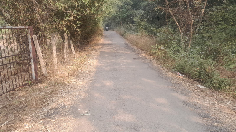  Agricultural Land 32 Guntha for Sale in Murbad, Thane