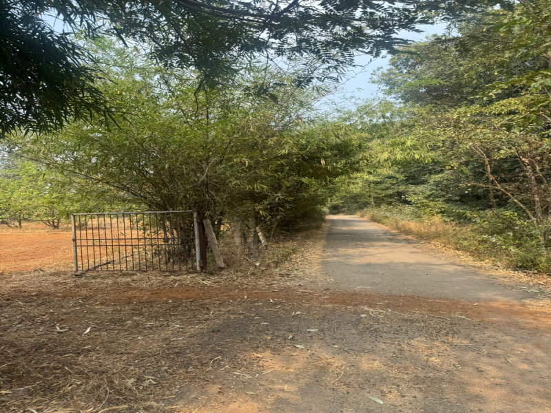  Agricultural Land 32 Guntha for Sale in Murbad, Thane