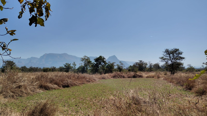  Agricultural Land 30 Guntha for Sale in Murbad, Thane