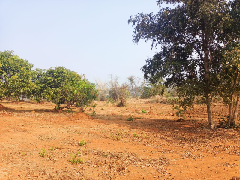  Agricultural Land 16 Acre for Sale in Murbad, Thane