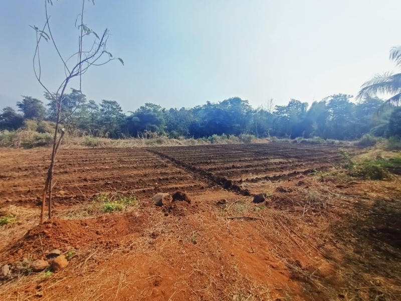  Agricultural Land 16 Acre for Sale in Murbad, Thane