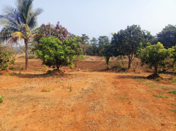  Agricultural Land for Sale in Murbad, Thane