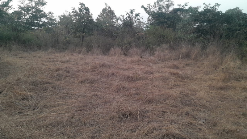  Agricultural Land 18 Acre for Sale in Mumbai Beyond Thane
