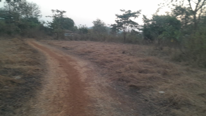  Agricultural Land 18 Acre for Sale in Mumbai Beyond Thane