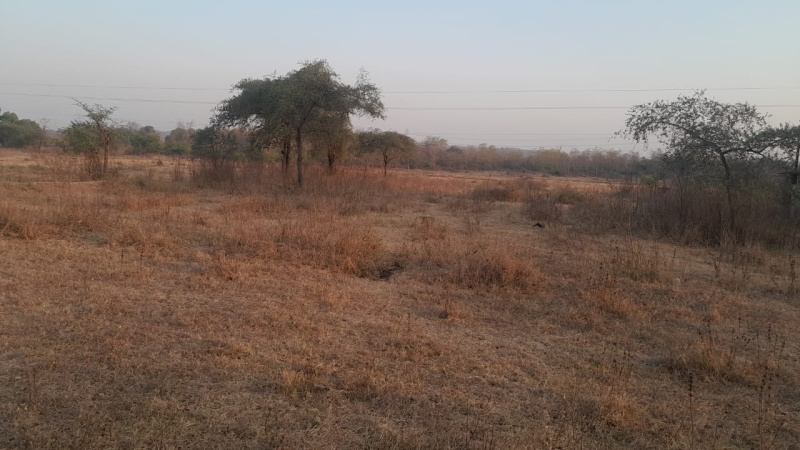  Agricultural Land 65 Acre for Sale in Mumbai Nasik Highway, Mumbai Beyond Thane