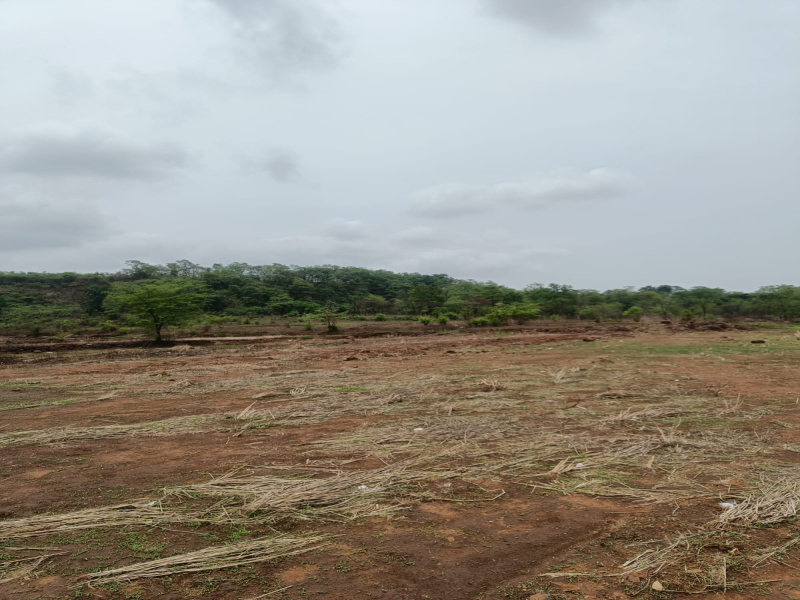  Agricultural Land 1 Acre for Sale in Murbad, Thane