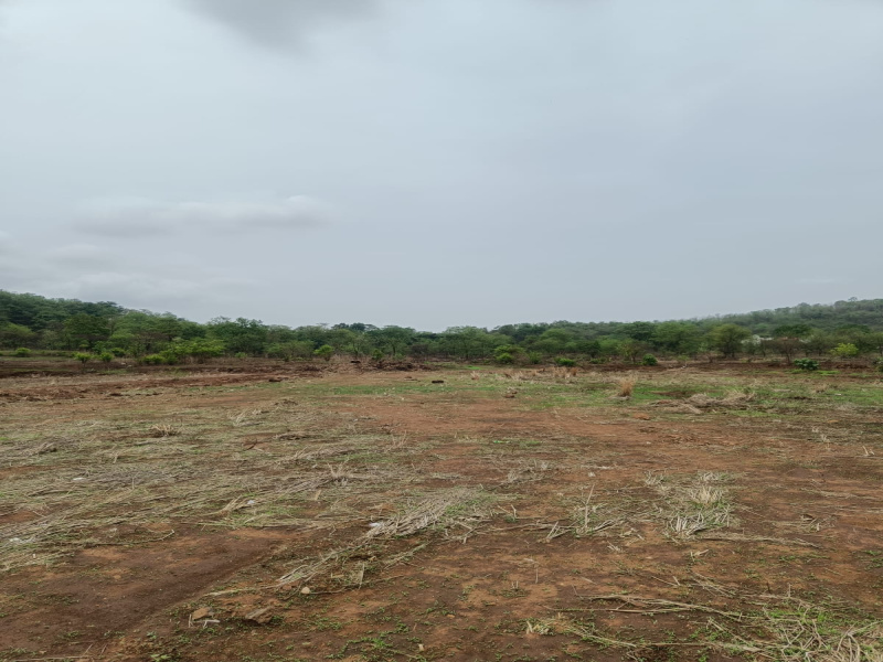  Agricultural Land 1 Acre for Sale in Murbad, Thane
