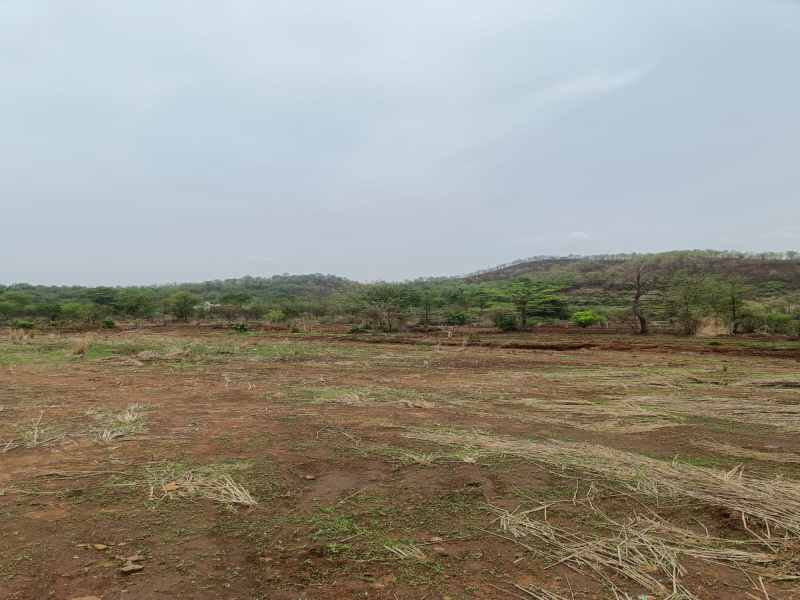  Agricultural Land 1 Acre for Sale in Murbad, Thane