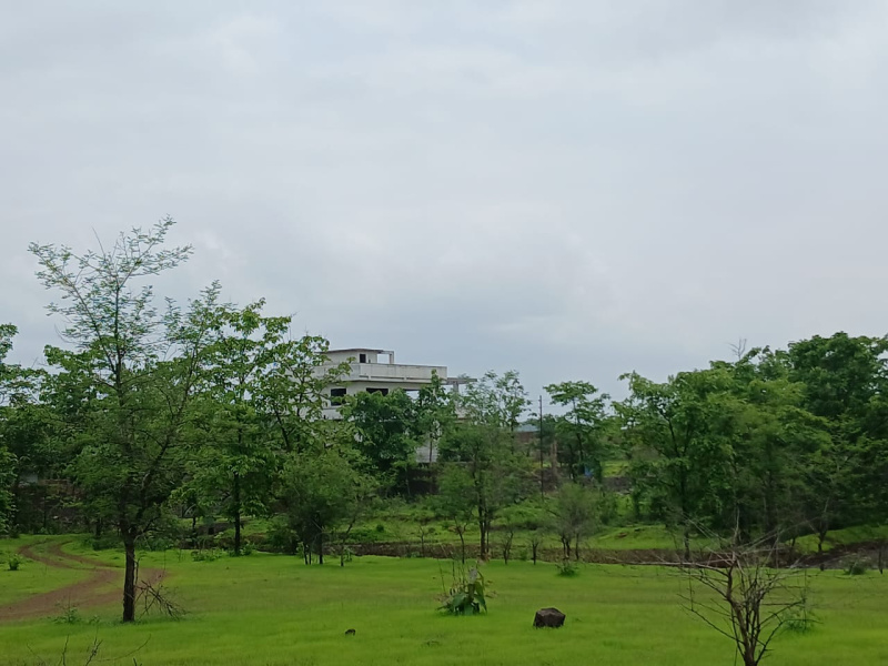  Agricultural Land 40 Guntha for Sale in Mumbai Beyond Thane