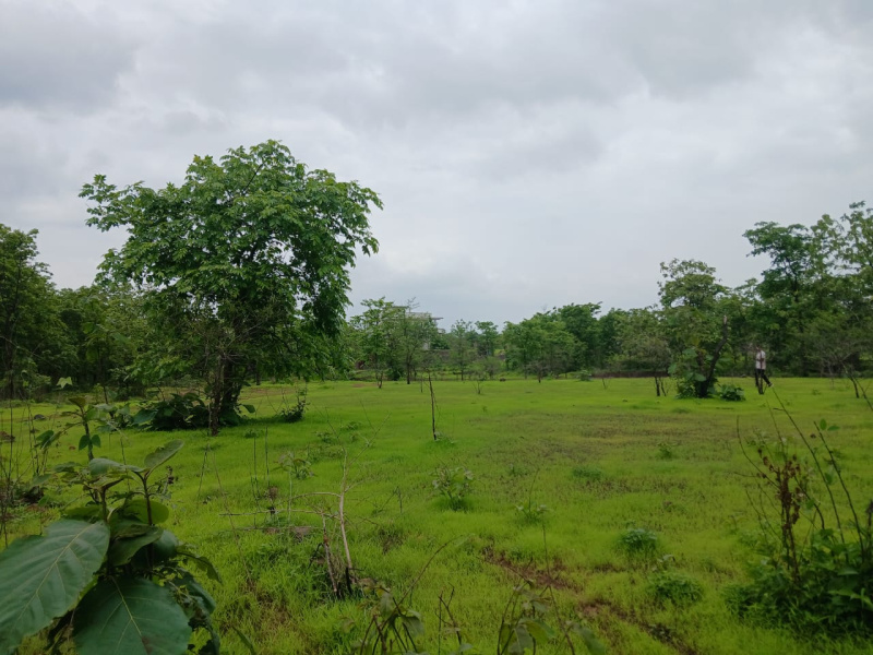  Agricultural Land 40 Guntha for Sale in Mumbai Beyond Thane
