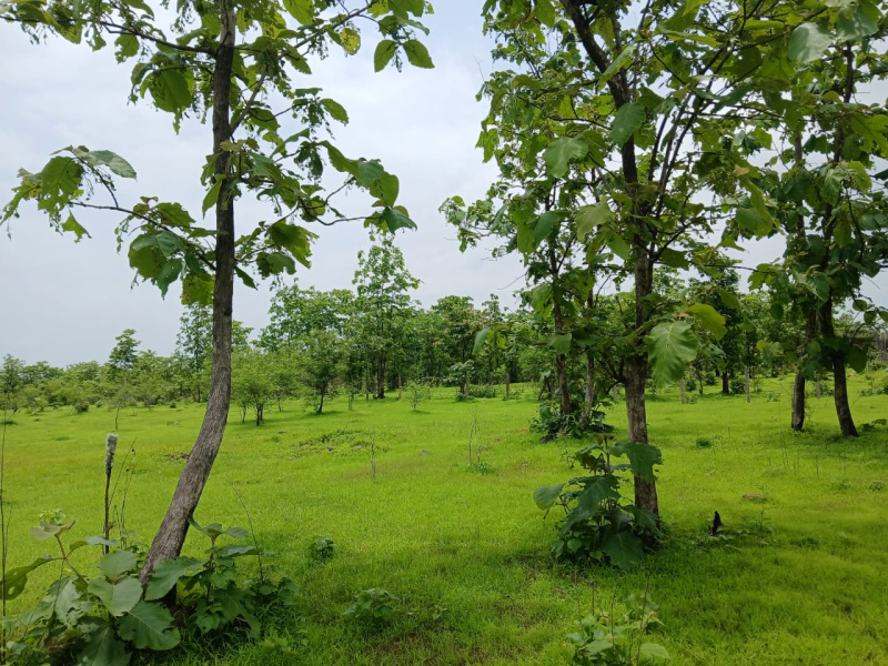  9 Acre Agricultural/Farm Land for Sale in Mumbai Beyond Thane