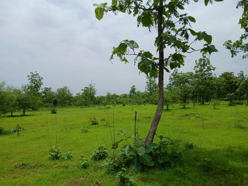  9 Acre Agricultural/Farm Land for Sale in Mumbai Beyond Thane