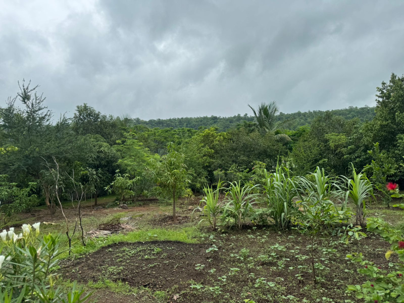  Agricultural Land 2 Acre for Sale in Mumbai Beyond Thane