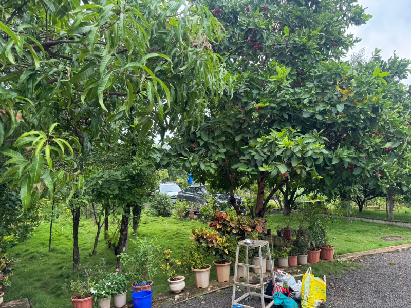  Agricultural Land 2 Acre for Sale in Mumbai Beyond Thane