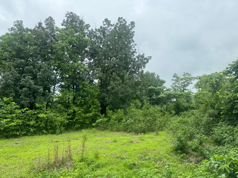  10 Acre Agricultural/Farm Land for Sale in Mumbai Beyond Thane
