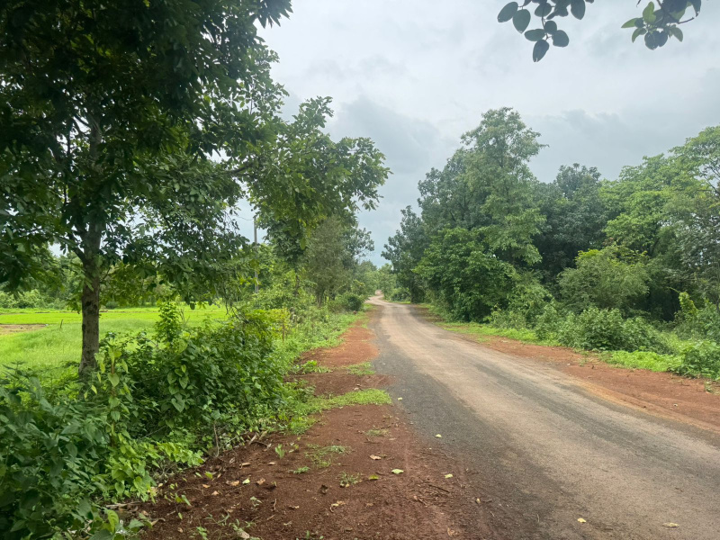  10 Acre Agricultural/Farm Land for Sale in Mumbai Beyond Thane