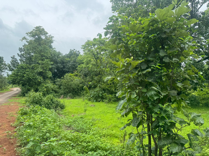  10 Acre Agricultural/Farm Land for Sale in Mumbai Beyond Thane