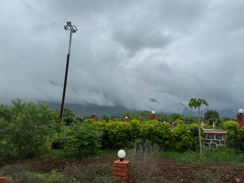 Agricultural Land 143 Guntha for Sale in Murbad, Thane