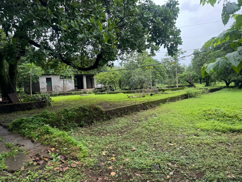  Agricultural Land 13 Acre for Sale in Mumbai Beyond Thane