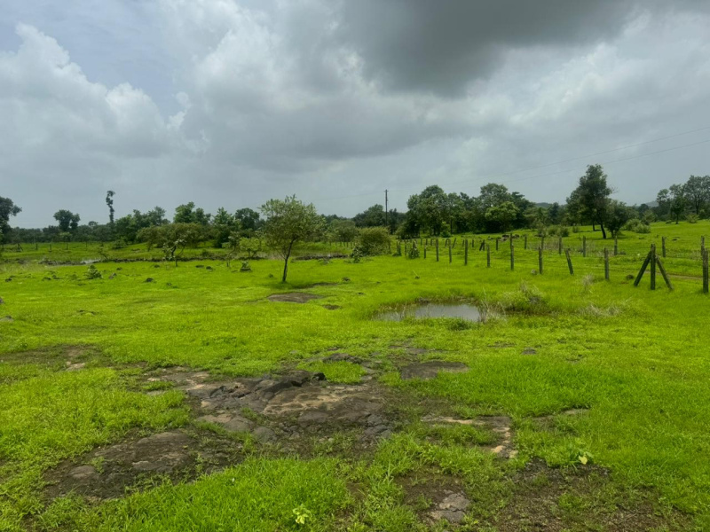  Agricultural Land 5 Acre for Sale in Mumbai Beyond Thane