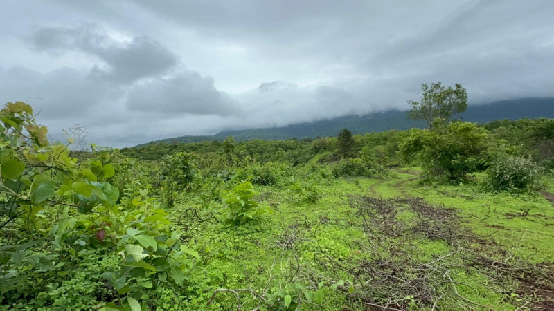  Agricultural Land 2 Acre for Sale in Mumbai Beyond Thane
