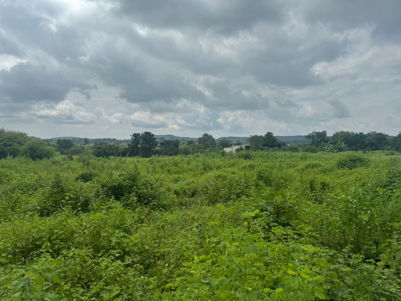  40 Guntha Agricultural/Farm Land for Sale in Murbad, Thane