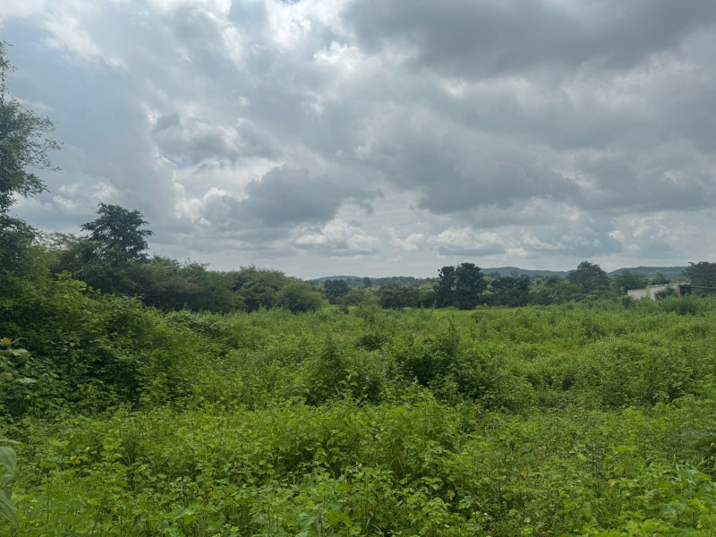  40 Guntha Agricultural/Farm Land for Sale in Murbad, Thane