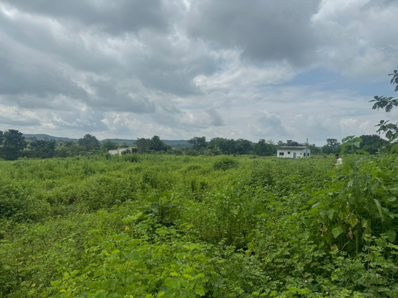  40 Guntha Agricultural/Farm Land for Sale in Murbad, Thane