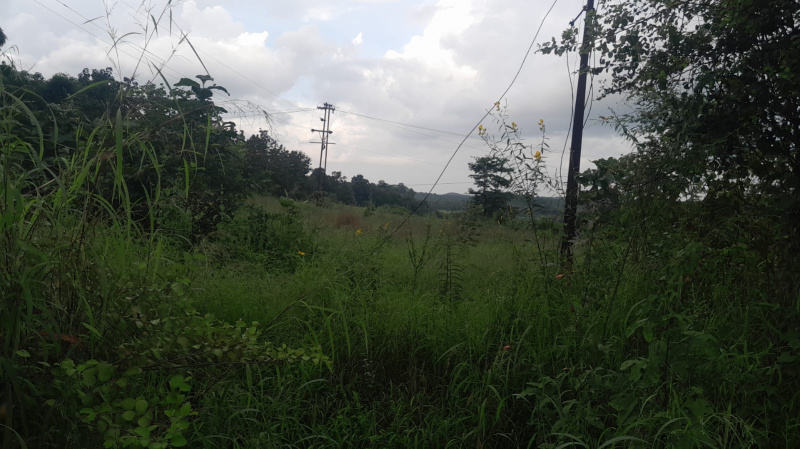  4 Acre Agricultural/Farm Land for Sale in Murbad, Thane