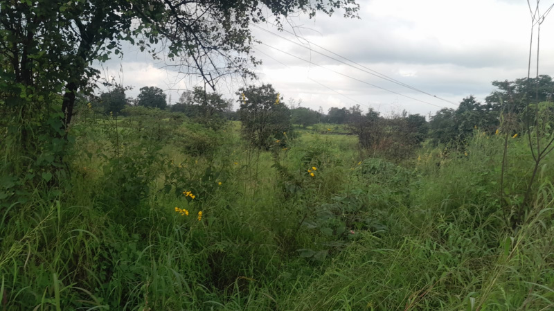  4 Acre Agricultural/Farm Land for Sale in Murbad, Thane