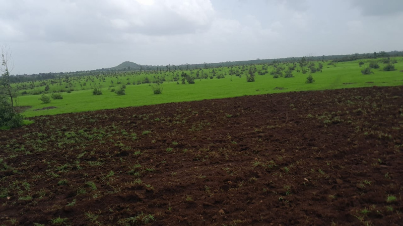  51 Acre Agricultural/Farm Land for Sale in Shahapur, Thane