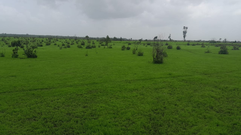  51 Acre Agricultural/Farm Land for Sale in Shahapur, Thane