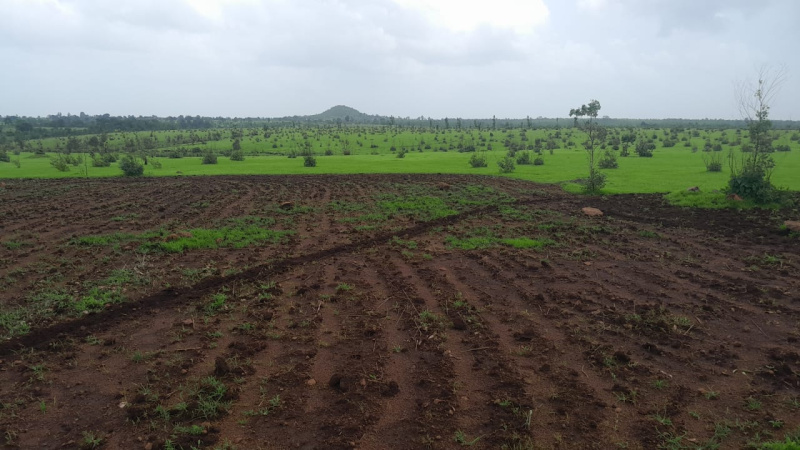  51 Acre Agricultural/Farm Land for Sale in Shahapur, Thane