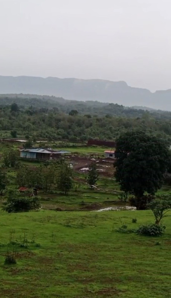  15 Acre Agricultural/Farm Land for Sale in Karjat, Raigad