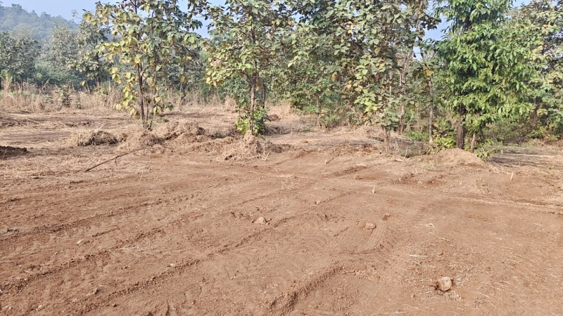  65 Guntha Agricultural/Farm Land for Sale in Murbad, Thane