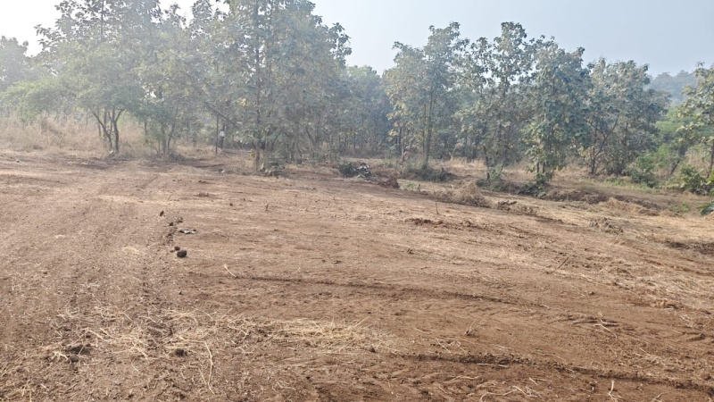  65 Guntha Agricultural/Farm Land for Sale in Murbad, Thane