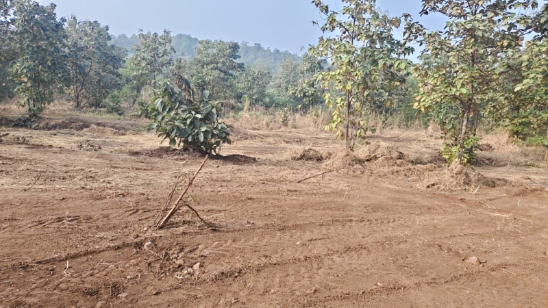  65 Guntha Agricultural/Farm Land for Sale in Murbad, Thane