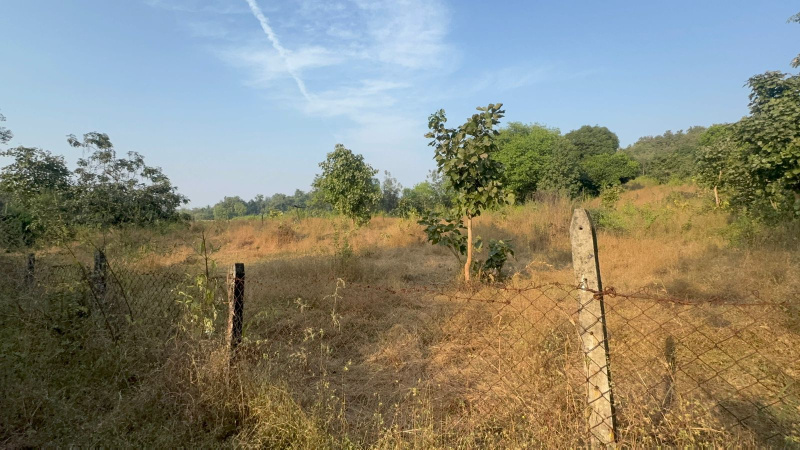  5 Ares Agricultural/Farm Land for Sale in Murbad, Thane