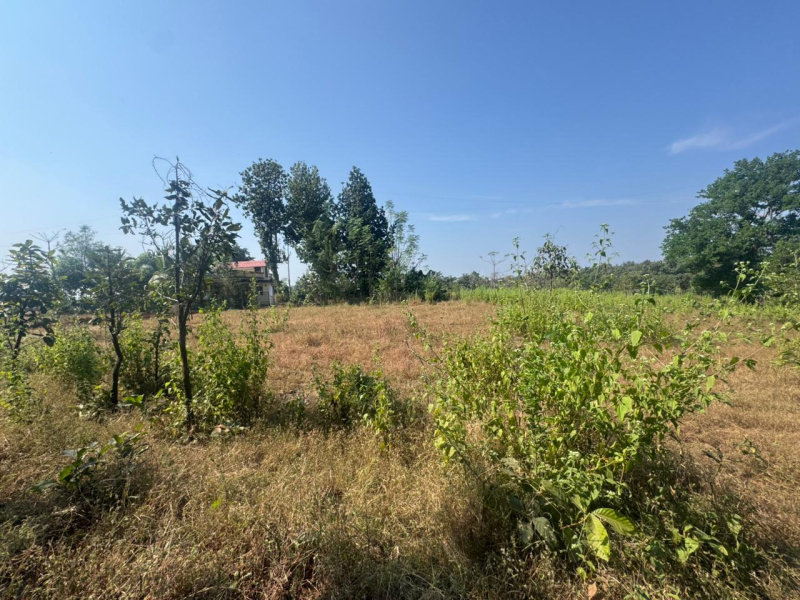  40 Guntha Agricultural/Farm Land for Sale in Murbad, Thane