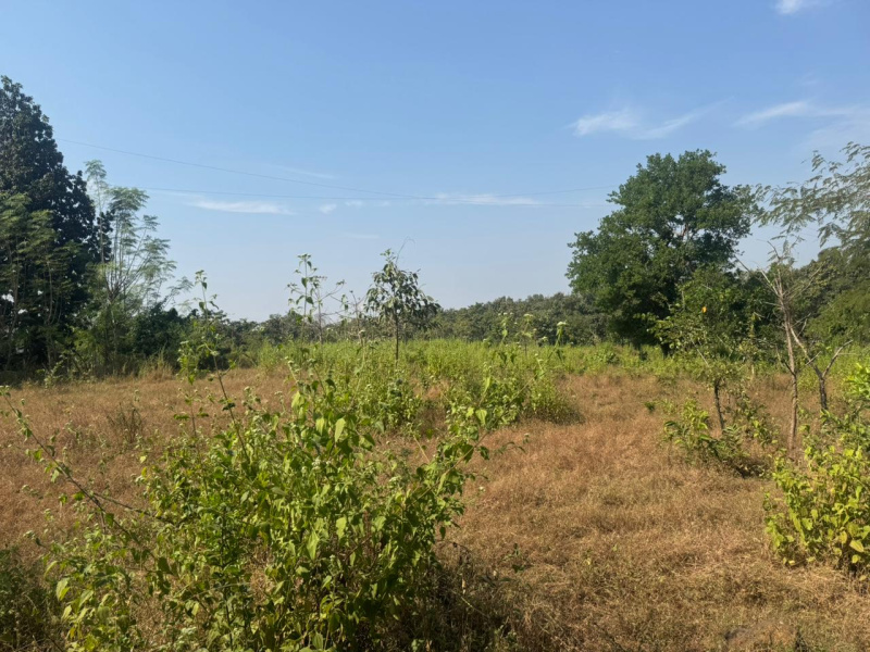  40 Guntha Agricultural/Farm Land for Sale in Murbad, Thane
